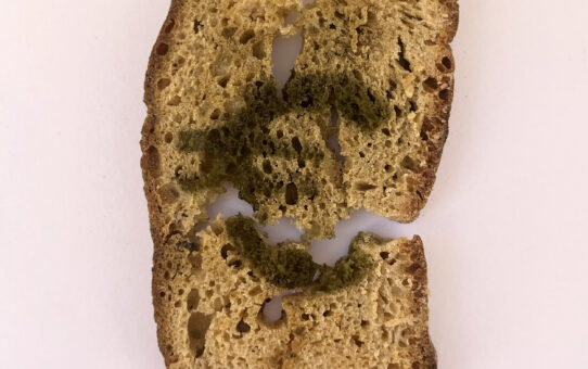 Pane Euro